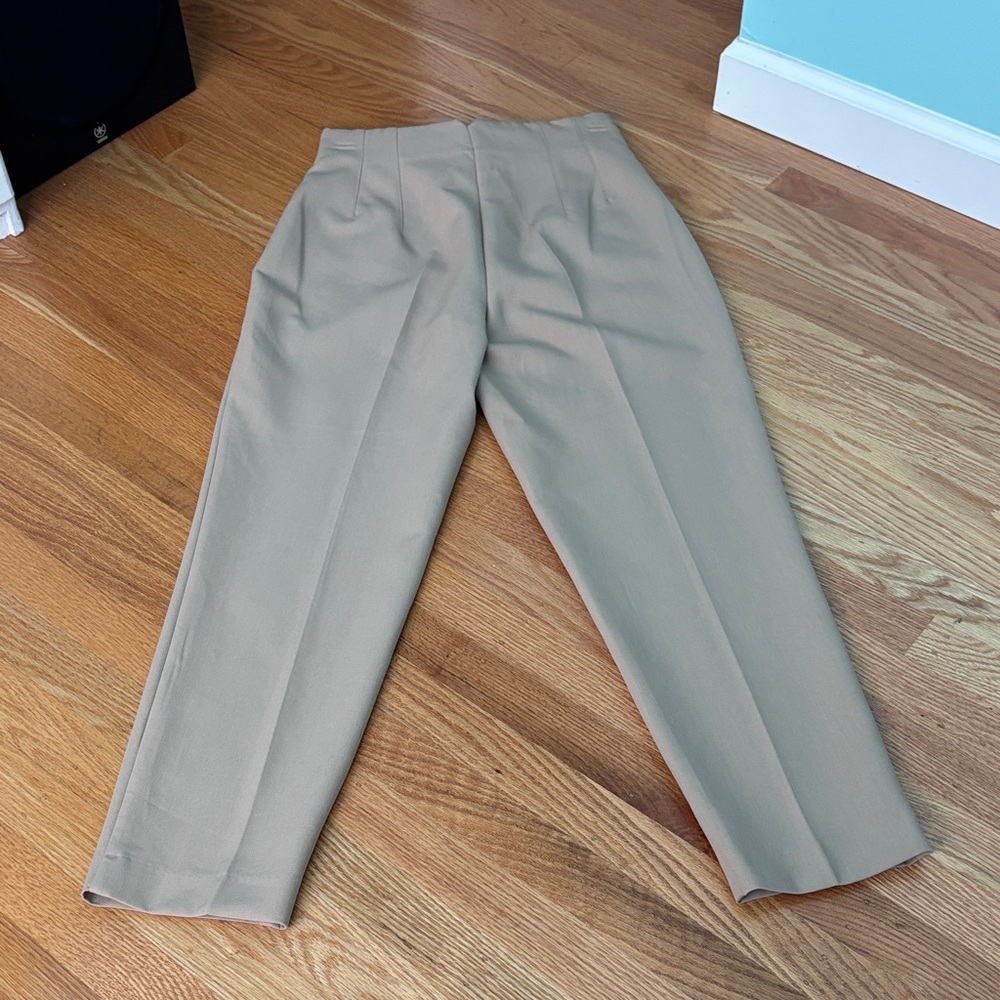 Zara High Waisted Tan Pants